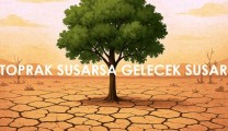 Toprak Susarsa Gelecek Susar
