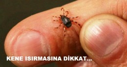 Keneye Dikkat