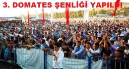 Akkuzulu Domates Şenliği Yapıldı