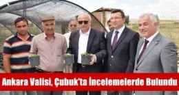 Ankara Valisi Çubuk’ta