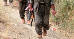 Ergenekon PKK’yı “Bitirtmedi”