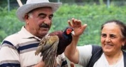 Kınalı Keklik ve Sülün Üretiyorlar