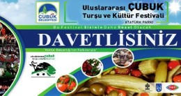 9. Uluslararası Çubuk Turşu ve Kültür Festivali