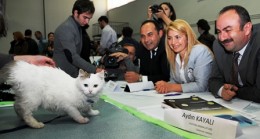 Podyumda Ankara Kedileri Yarıştı