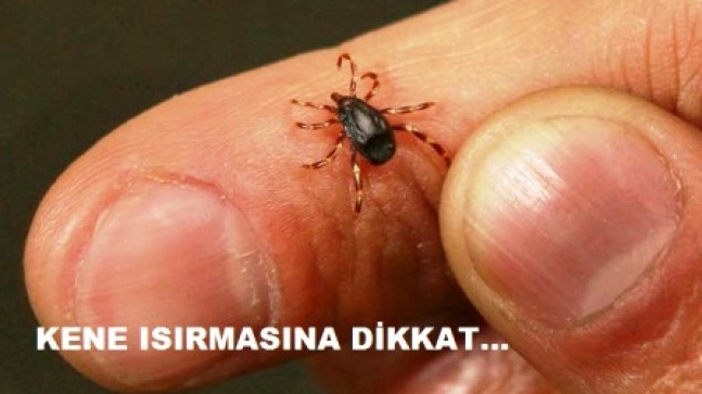 Keneye Dikkat