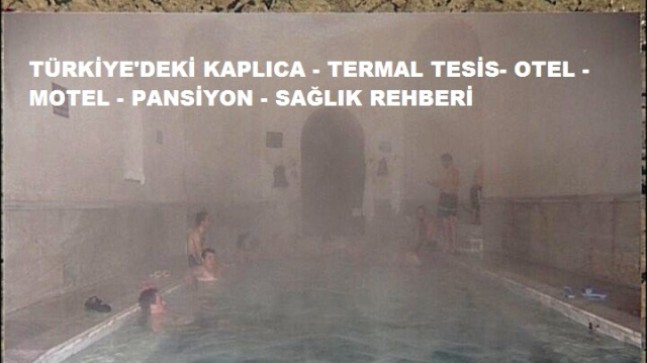 Türkiye Termal Tesisleri ve Sağlık Suları