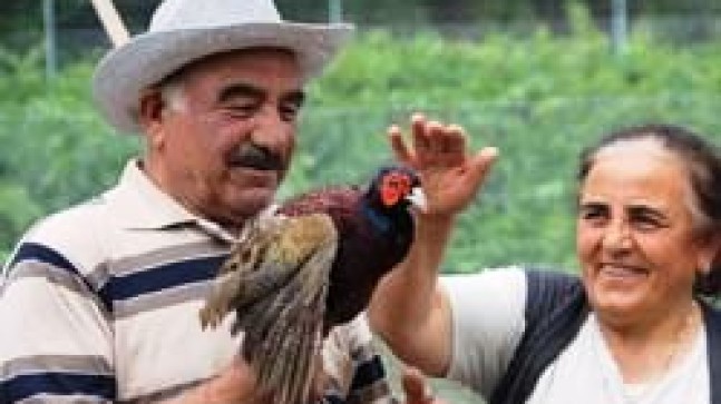 Kınalı Keklik ve Sülün Üretiyorlar
