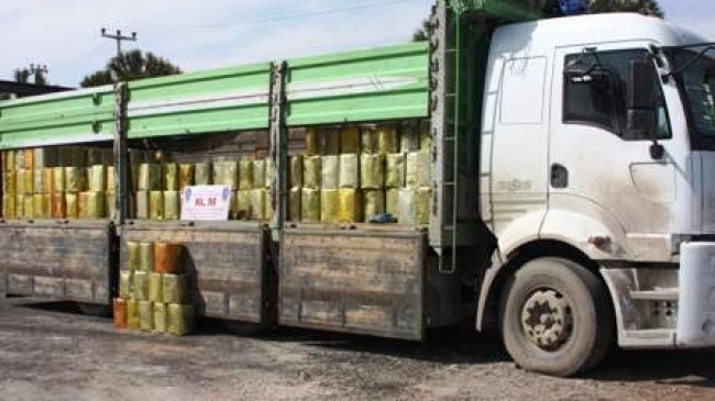 4 Ton Bal Çalındı
