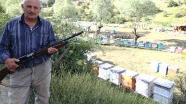 Çubuk’ta Bal Üreticileri Ayılardan Dertli