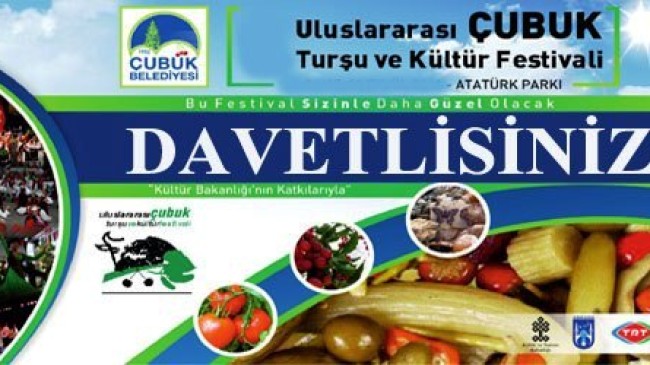9. Uluslararası Çubuk Turşu ve Kültür Festivali