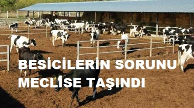 CHP’den Besicilere Destek