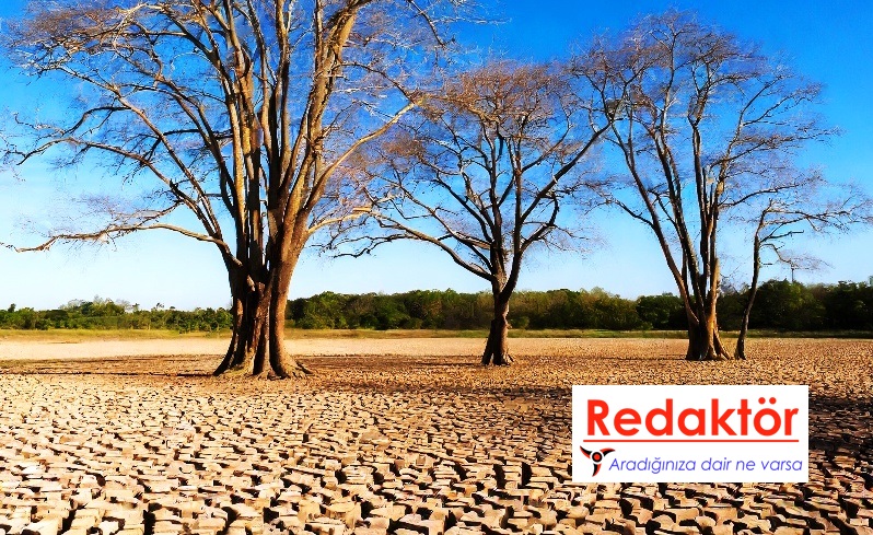 Kuraklık gündemdeyse, geç kaldık demektir